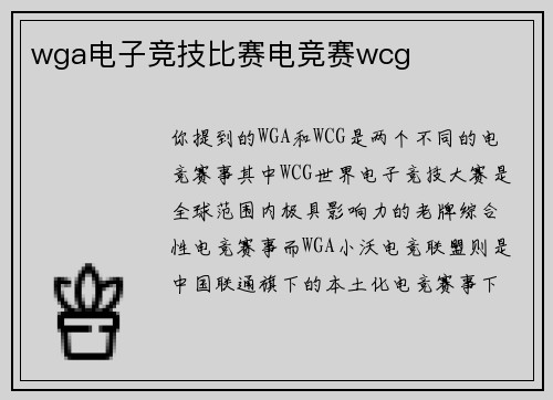 wga电子竞技比赛电竞赛wcg